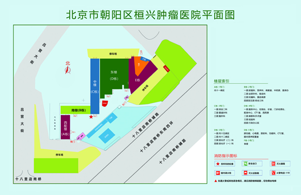 大鸡巴操小骚逼片北京市朝阳区桓兴肿瘤医院平面图